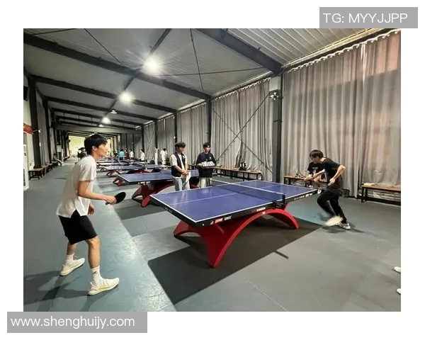 成都乒乓球队状态分析与未来展望聚焦乒乓球发展新机遇