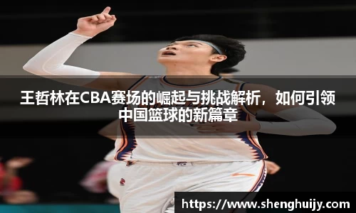 王哲林在CBA赛场的崛起与挑战解析，如何引领中国篮球的新篇章