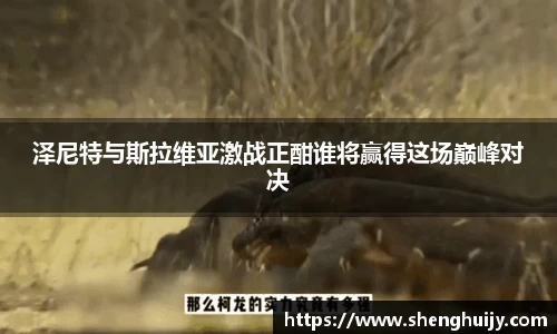 泽尼特与斯拉维亚激战正酣谁将赢得这场巅峰对决